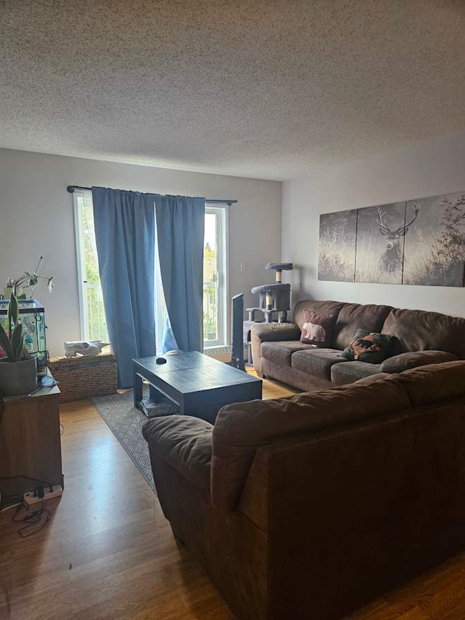 Beanca van Nieuwholtz's room