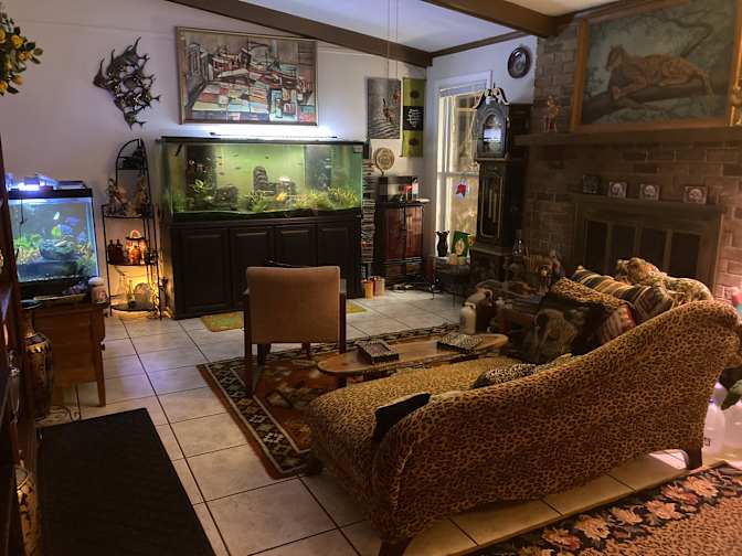 Wanda's room