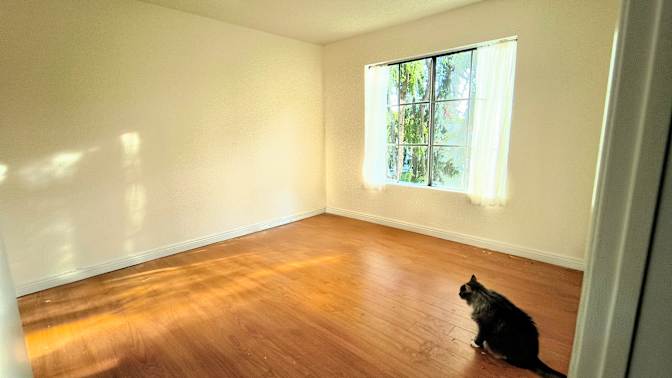 Elias's room
