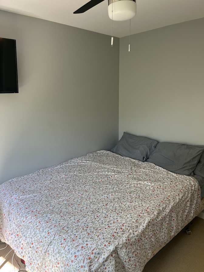 Liana Medoro's room