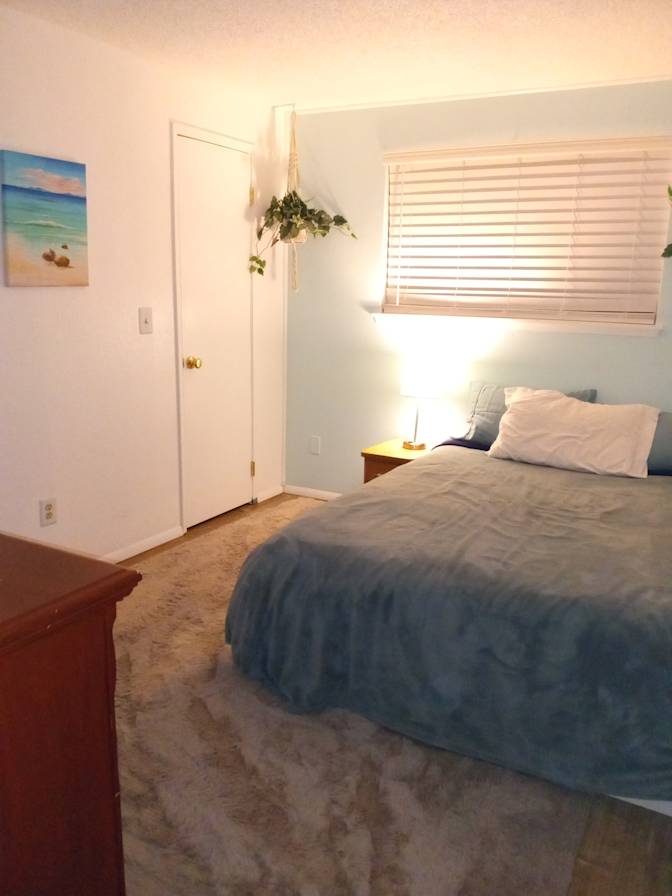 Susan Cook's room