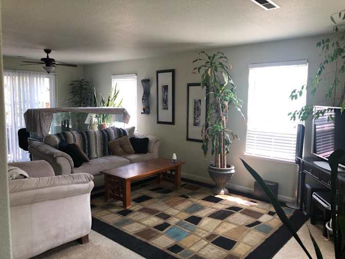 Neal vinograd's room