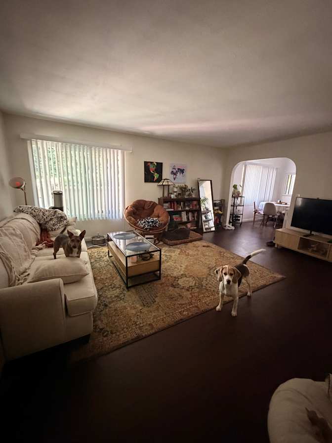 chaise's room