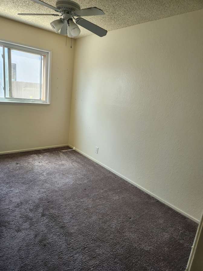 Kisha Gonsalves's room