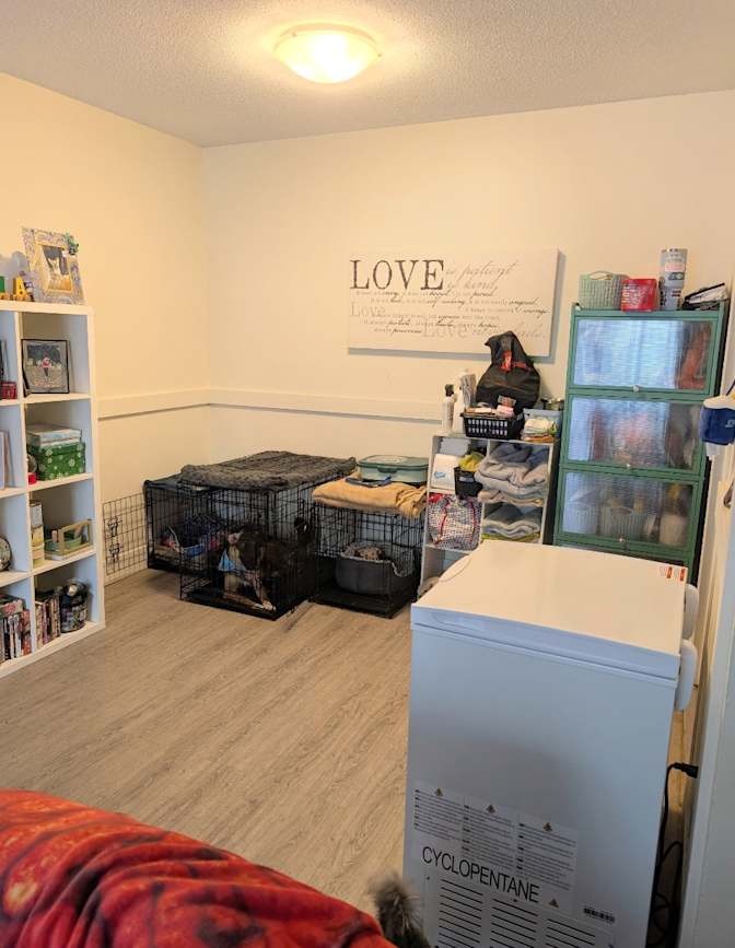 Shaz's room