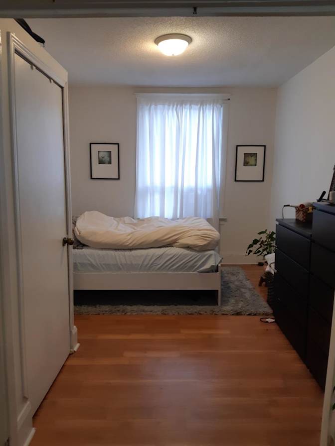 Moh's room