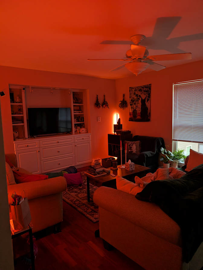 Bailey's room