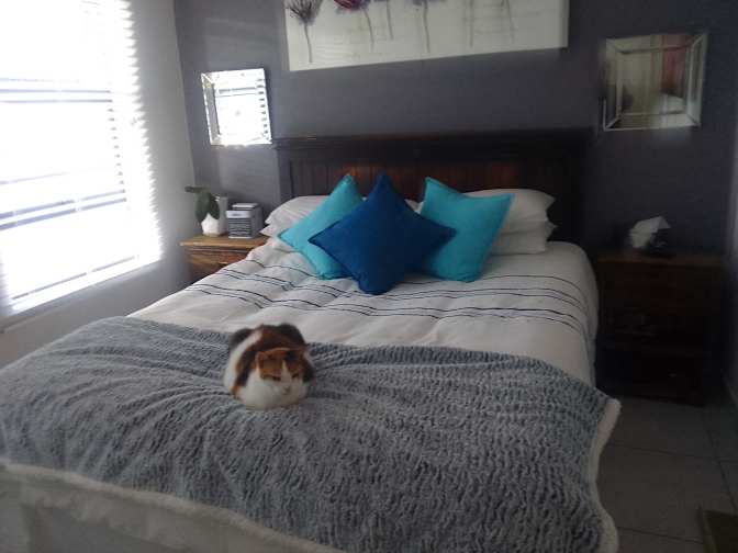 Debbie Mocke's room