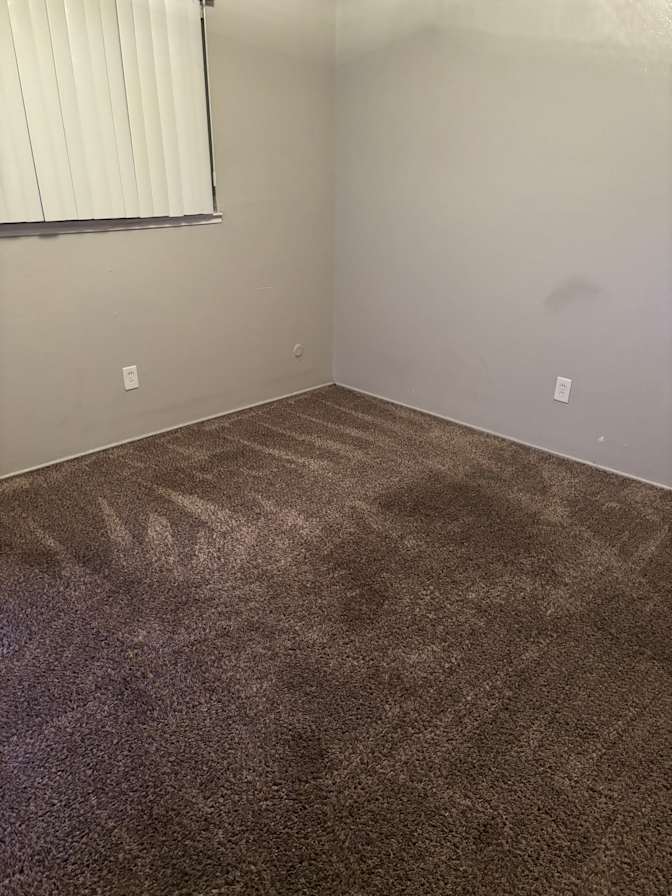 Neshelle's room