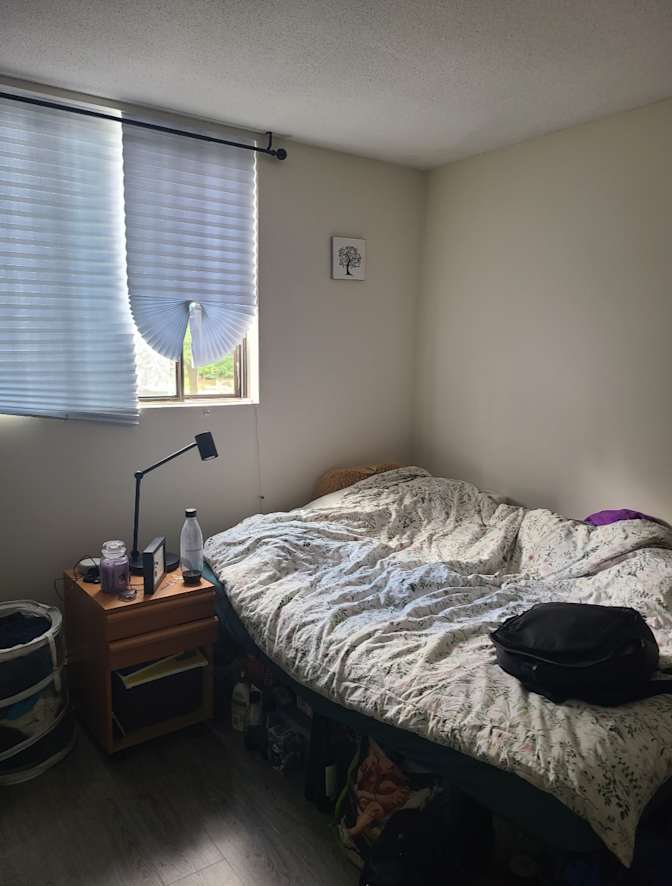 Shaz's room