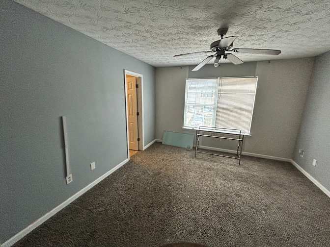 Ariel Rene's room