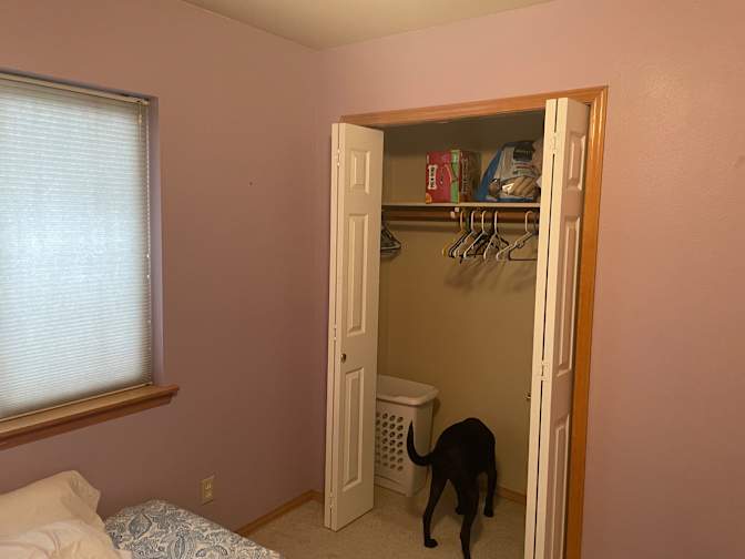 Ryan's room