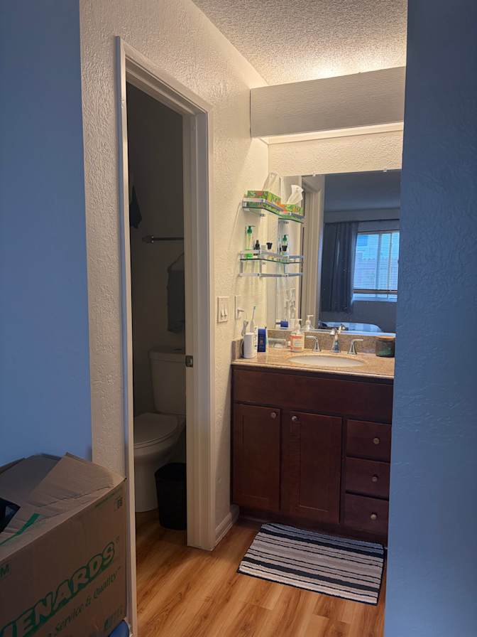Cece's room