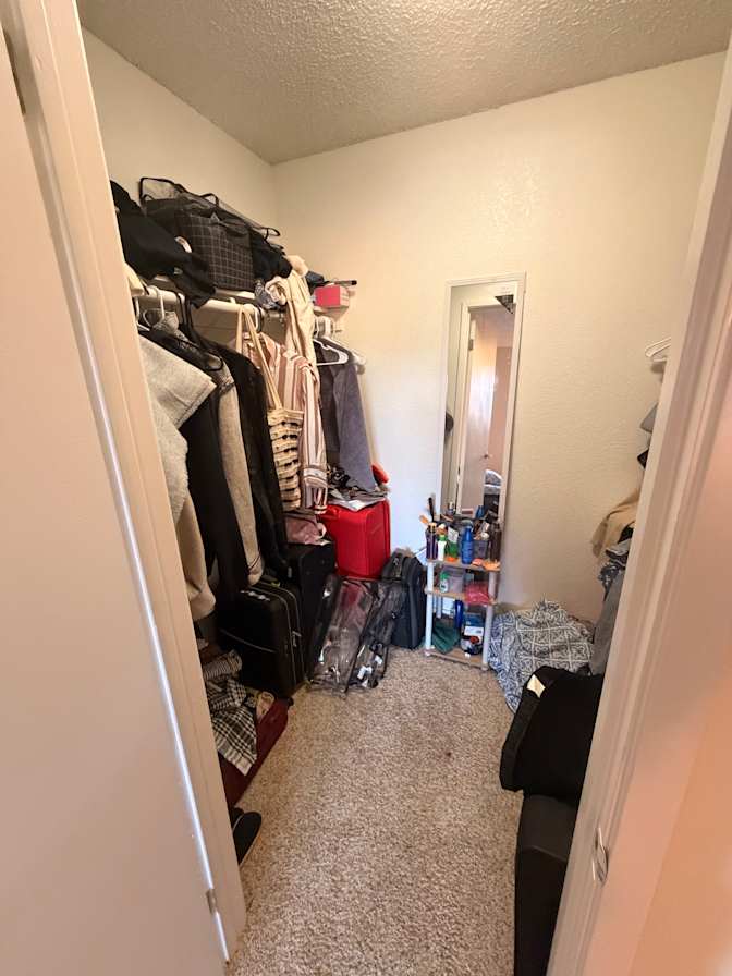 Avni's room