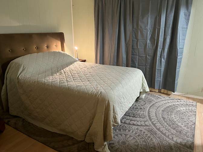 Aviva's room