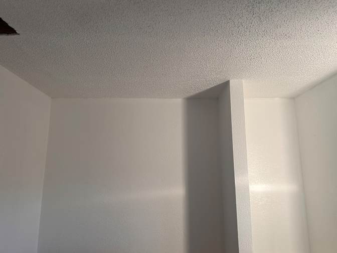 Elaine Gonzalez's room