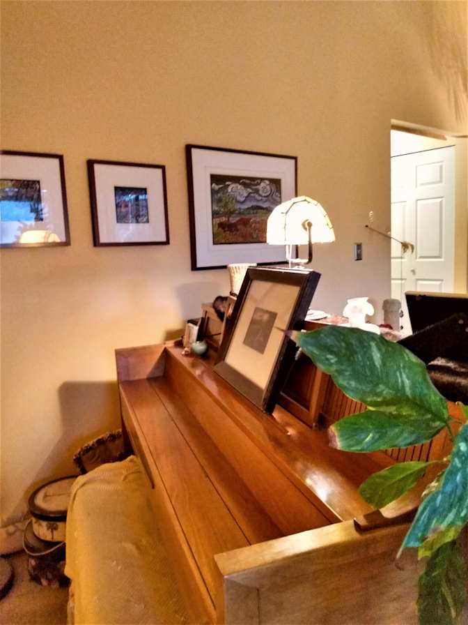 Mary's room