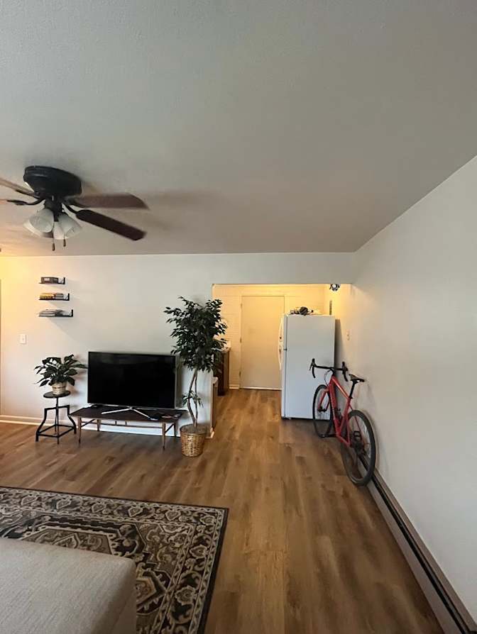 Quinn's room