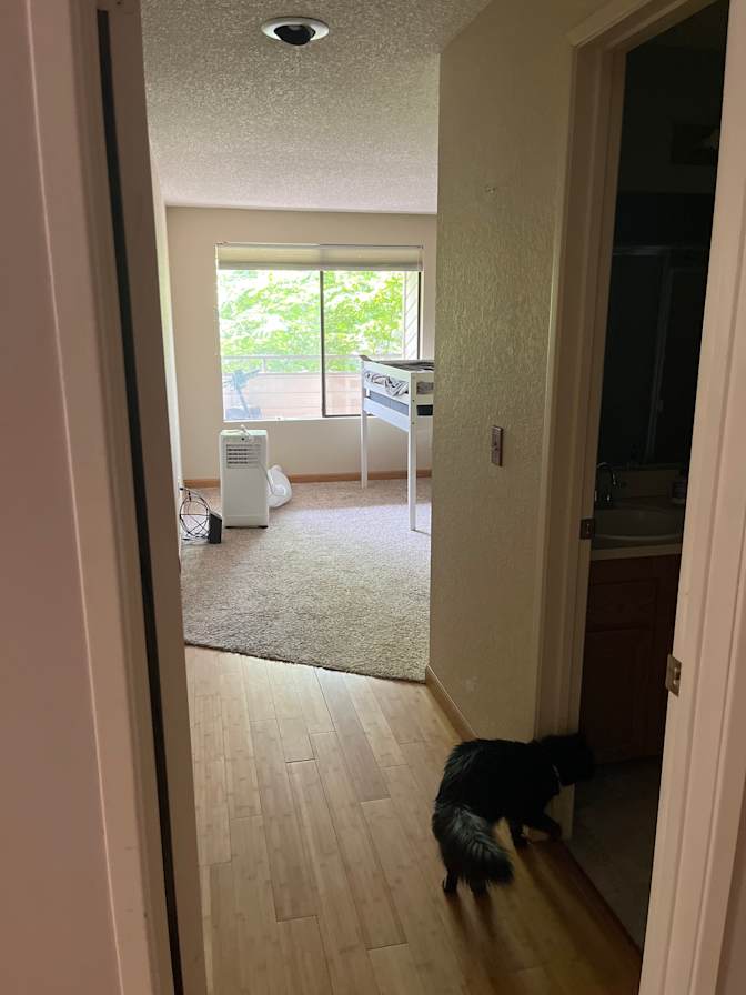 Weilan's room