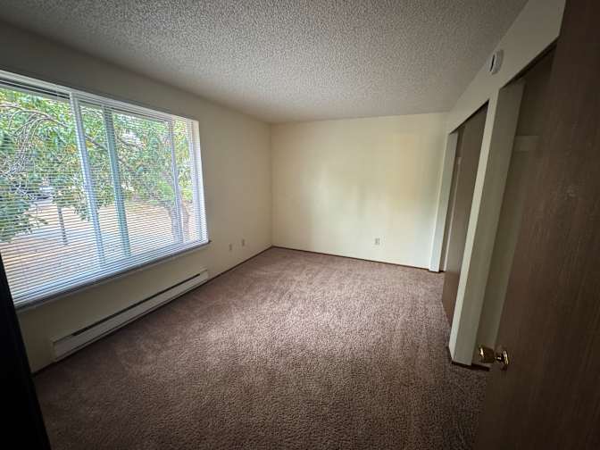 Rose's room