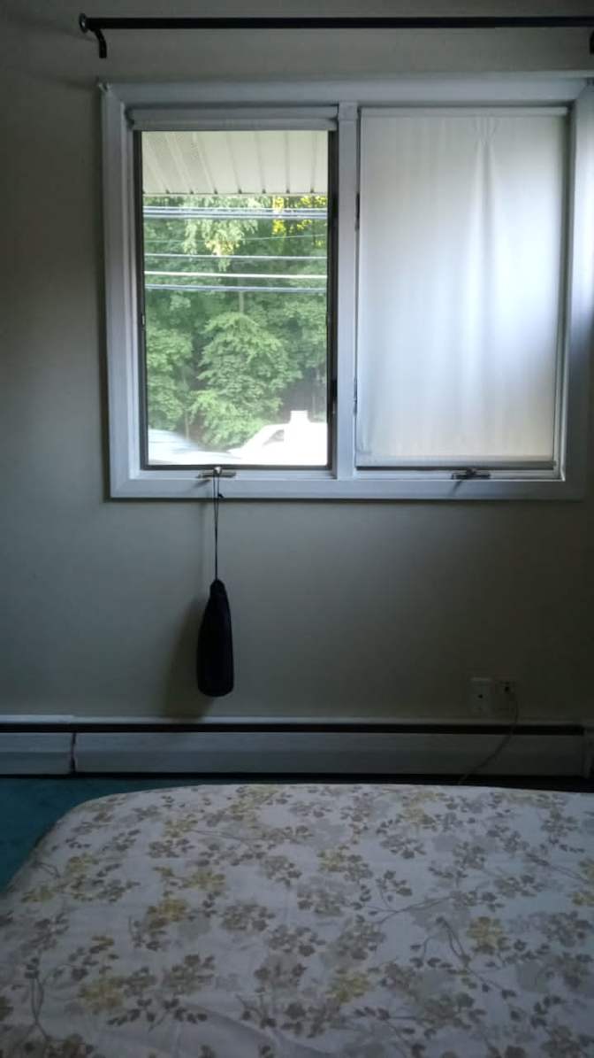 Camelia's room
