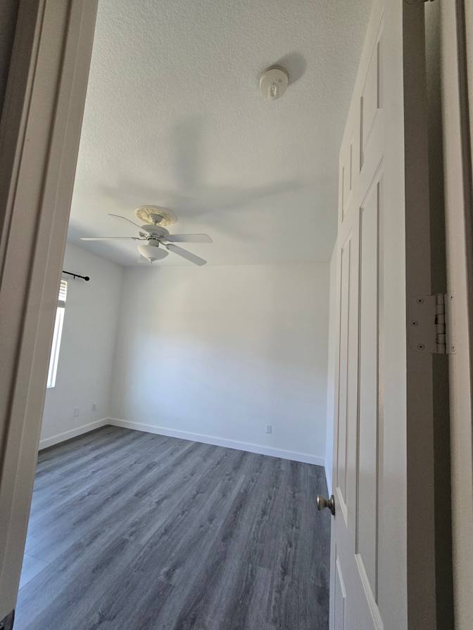 Ellie's room