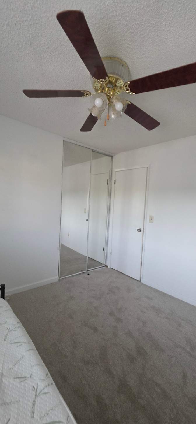 Singh's room
