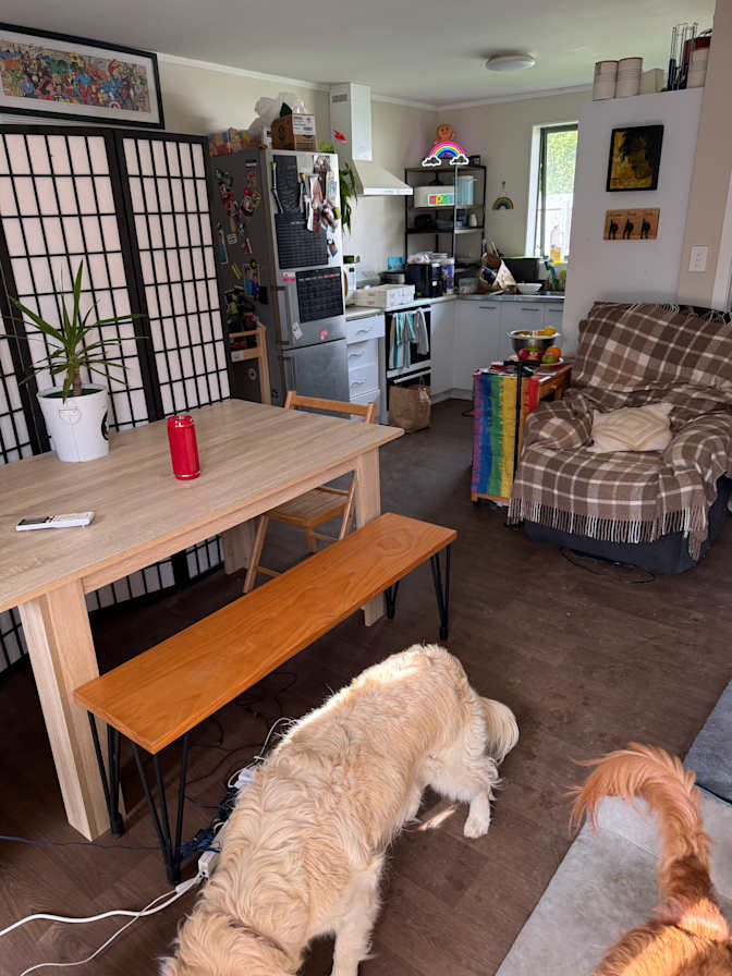 Joshy  Fitzgerald's room