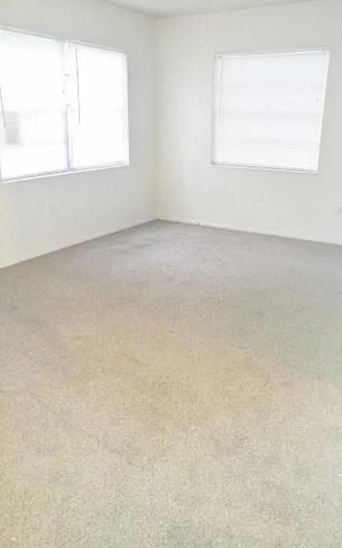 Patrice's room