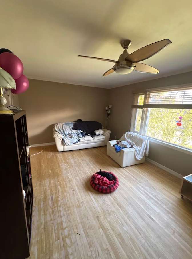 rayne's room