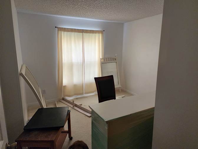 William Hamant's room