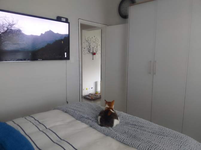 Debbie Mocke's room