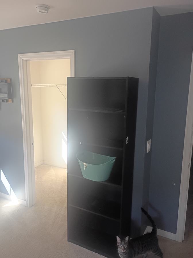 Rorik's room