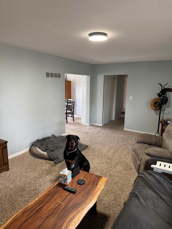 Tyler's room