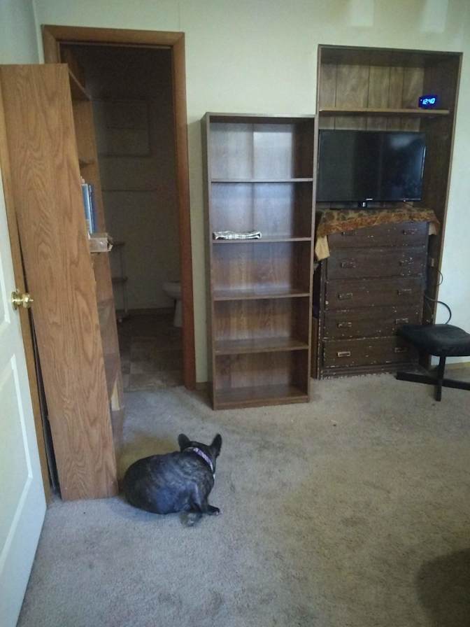 Matthew's room