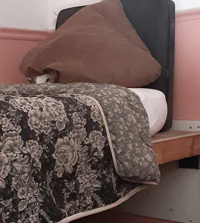 Lisa's room