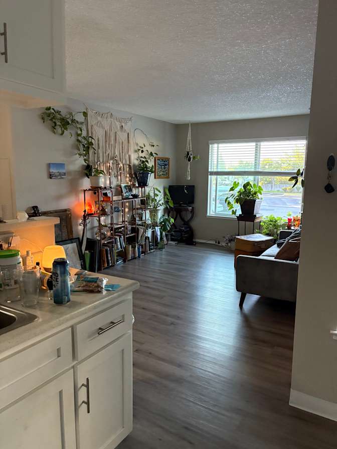 Krysta Cook's room