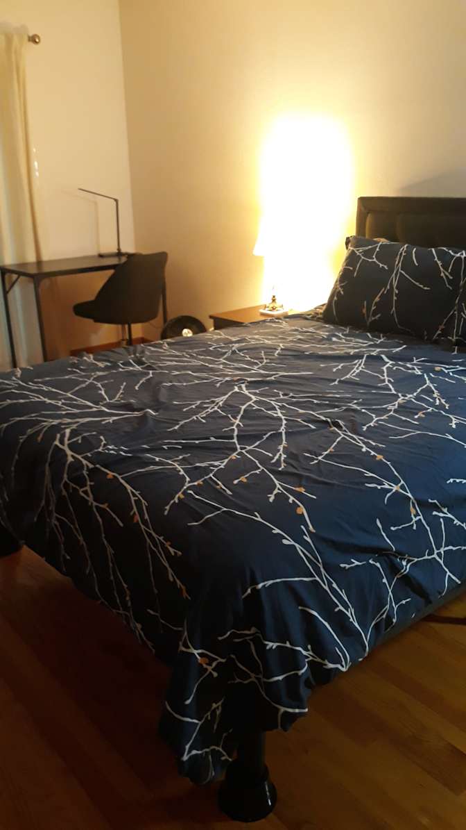 Alejandra's room