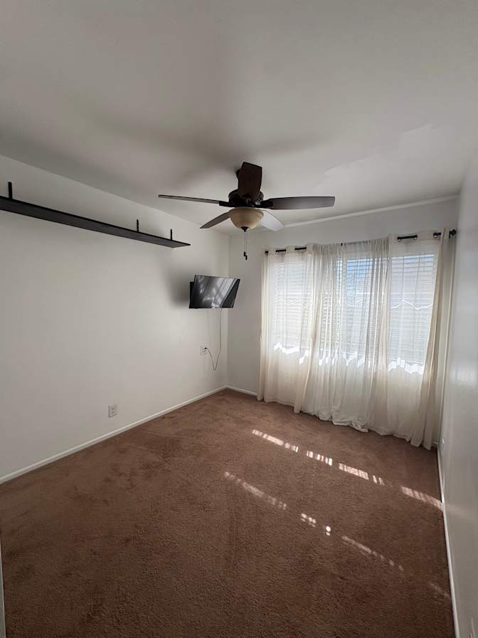 Taylor  Mcneil's room