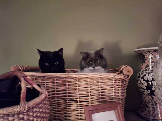 Tania Rolland's room