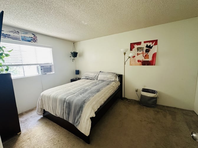 Vanessa's room