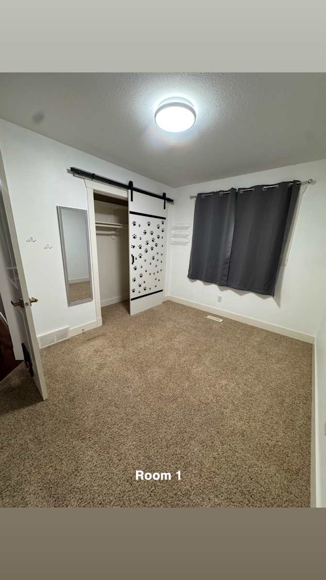 Shay's room