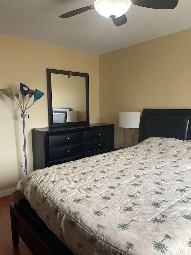 Sandy Habashy's room