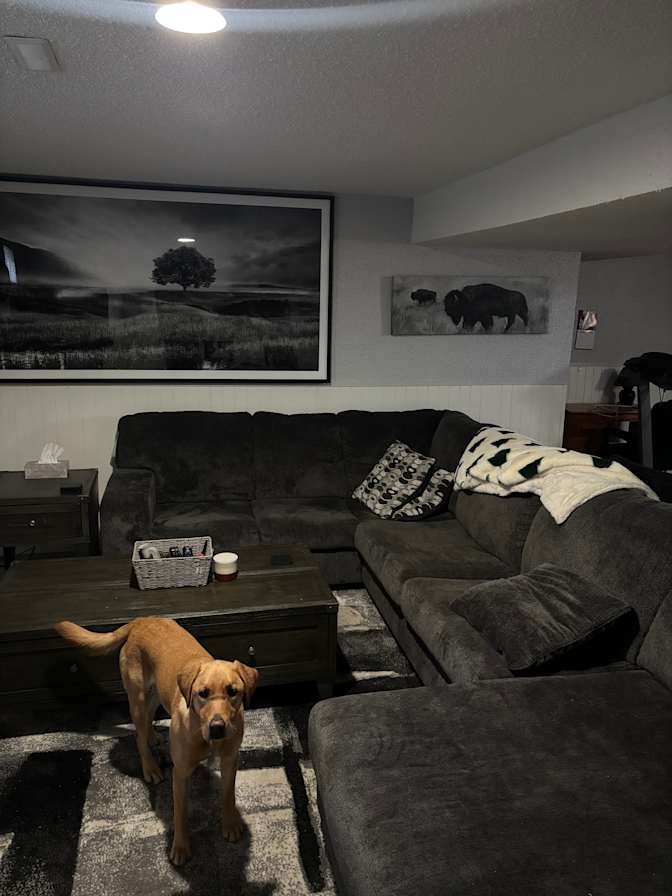 Travis's room