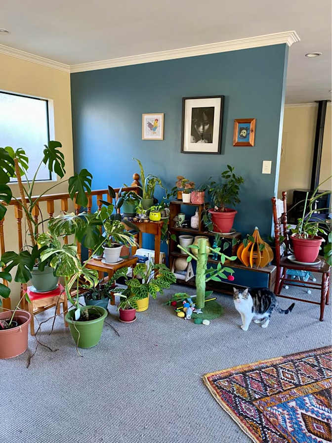 Dallas's room