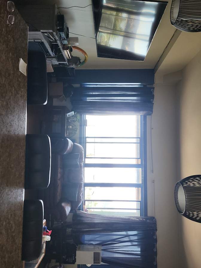 Shirley-anne Elmourne's room