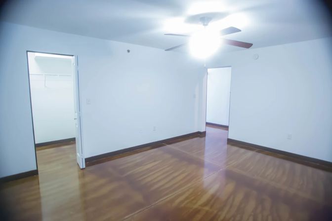 Zion's room