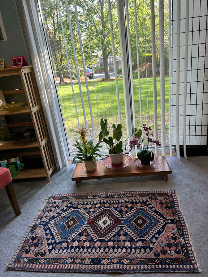 Judy Gerratt's room