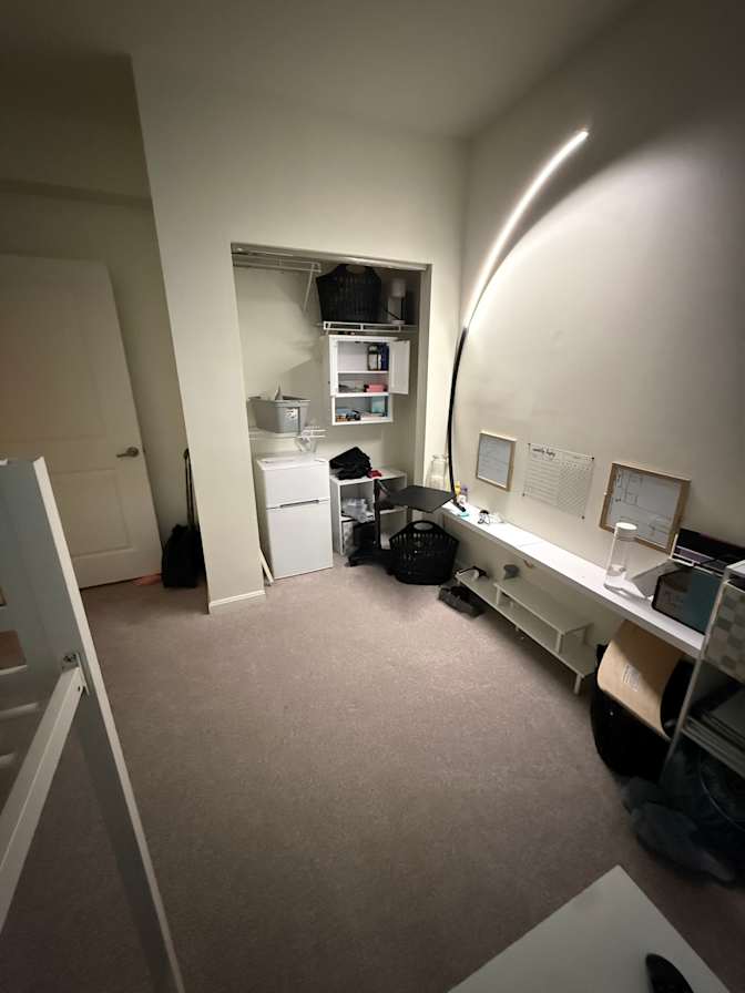 Tess's room