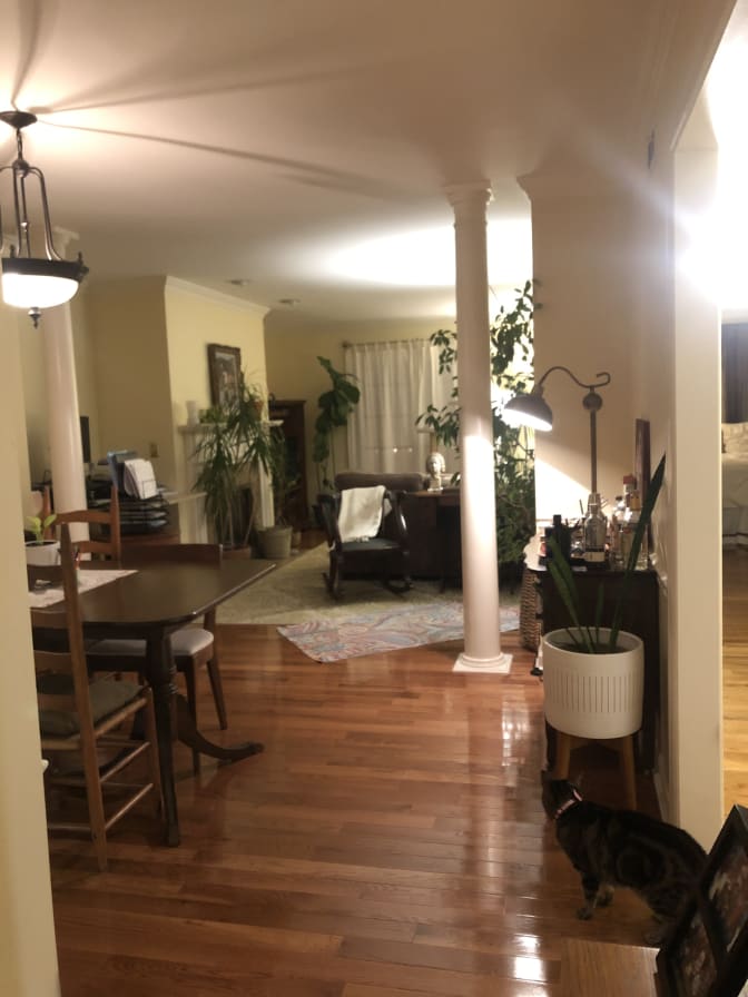 Elizabeth's room